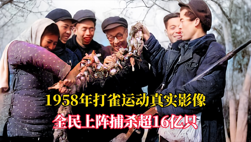 王毅：中乌早就建立战略伙伴关系,澳门黄大仙精选一码必中一肖,完美答案解释落实_免费版V14.86